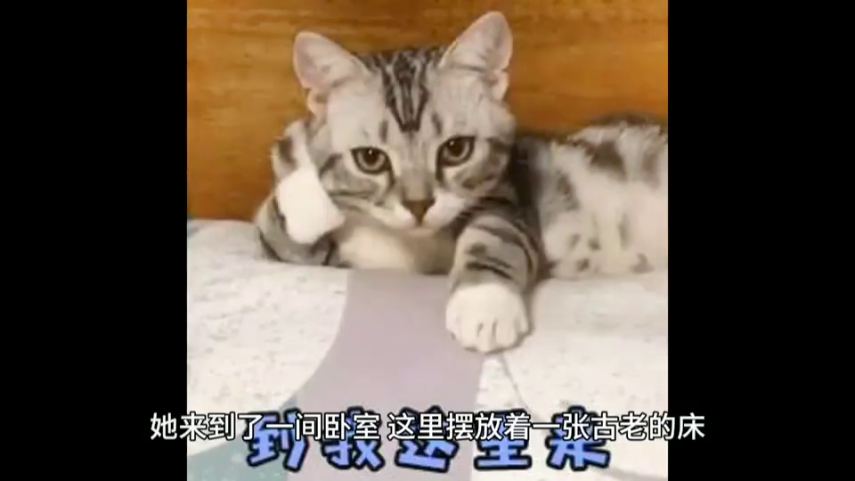 游戏史上的今天（1991）名为战车与红狼的回忆《重装机兵》