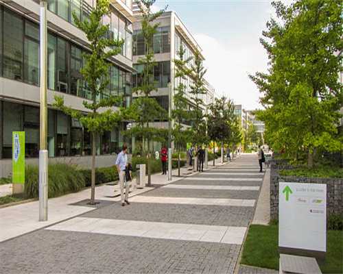 勇敢的心世界大战安娜救人怎么过 安娜救人
